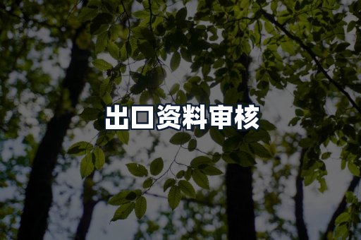 出口资料审核