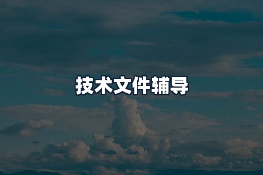 技术文件辅导