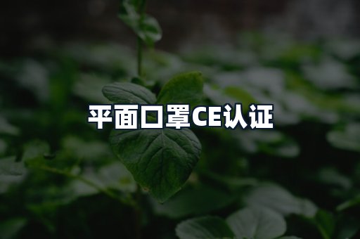 平面口罩CE认证